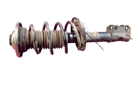 Opel Signum Front shock absorber with coil spring