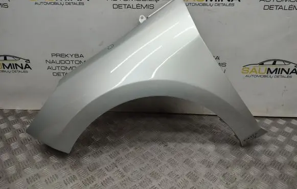 Ford Fiesta Fender
