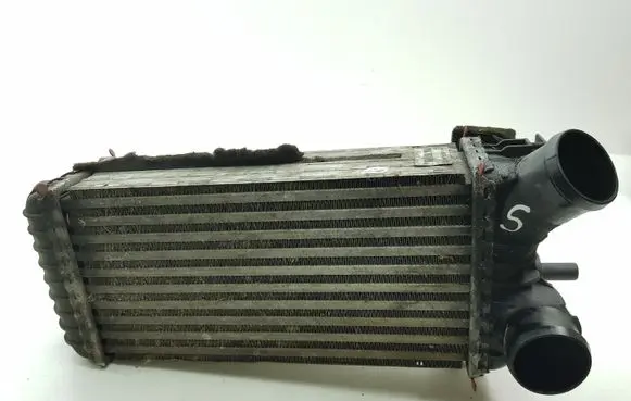 Ford C-MAX II Intercooler radiator 8V619L440CD