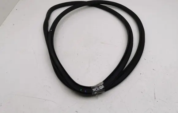 Opel Insignia B Front door rubber seal