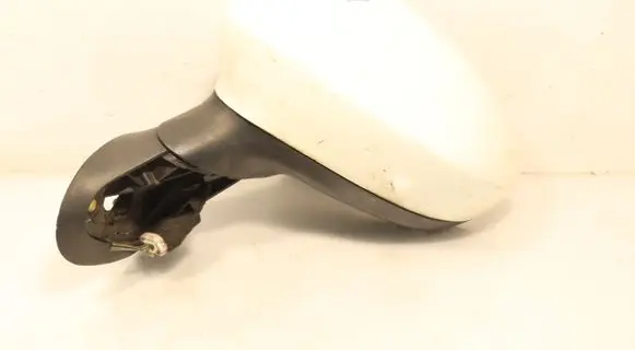 Fiat Punto Evo Front door electric wing mirror E3021046