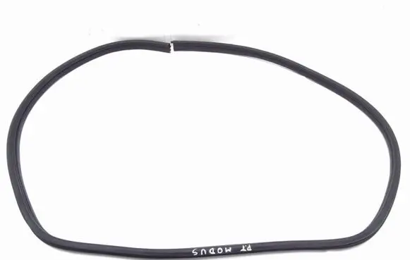 Renault Grand Modus Rubber seal rear door 