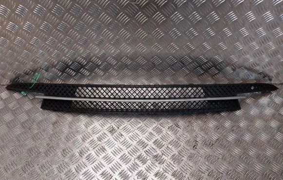 BMW 1 E81 E87 Front bumper lower grill S26380261 7182367