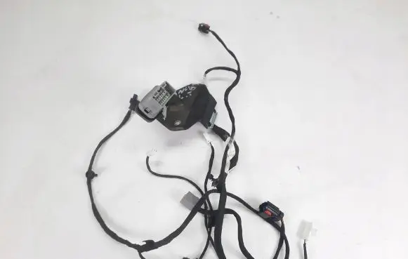 Rear door wiring loom