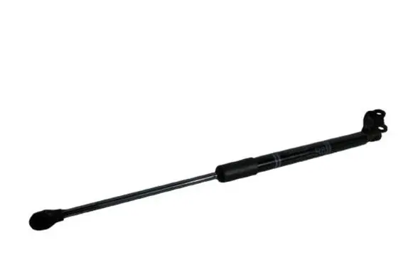 Tailgate strut