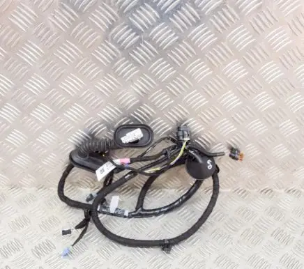 Tesla Model 3 Other wiring loom 206796600B