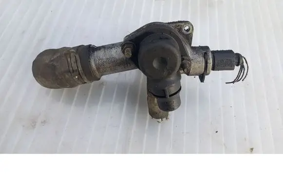 Volkswagen PASSAT B5.5 Thermostat housing 