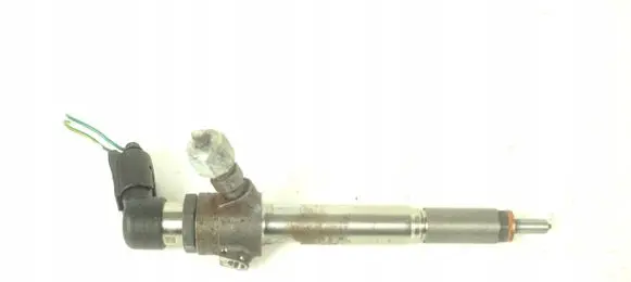 Nissan Qashqai Fuel injector H8200294788