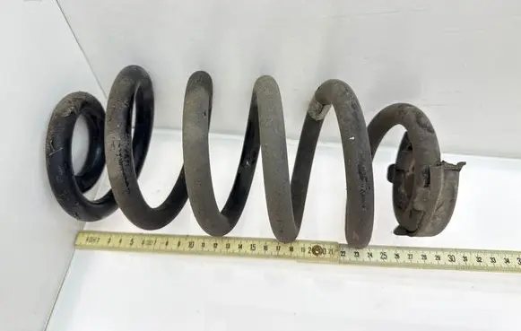 Rear coil spring