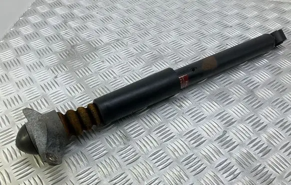 Volkswagen Tiguan Rear shock absorber/damper 3C0513425 1J0512135A