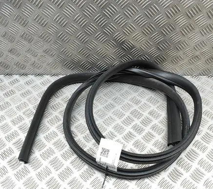 Ford Focus Rubber seal front coupe door BM51A20530AF