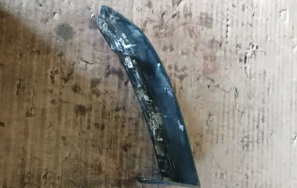 Rear/tail light trim molding