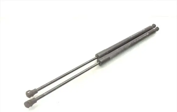 Tailgate/trunk strut/damper
