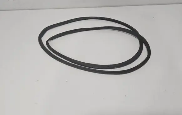 Ford Mustang Mach-E Rubber seal rear door LJ8BR20530
