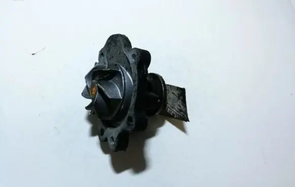 Nissan Pixo Water pump