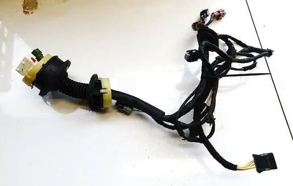 Other wiring loom