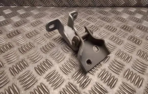 Opel Vivaro Front door lower hinge 804005400R 93450652