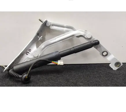 Tailgate/trunk strut/damper