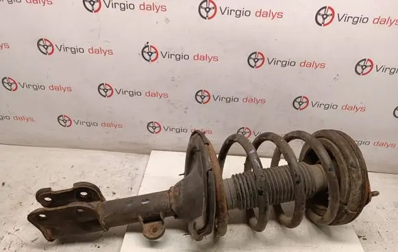Hyundai Santa Fe Front shock absorber with coil spring