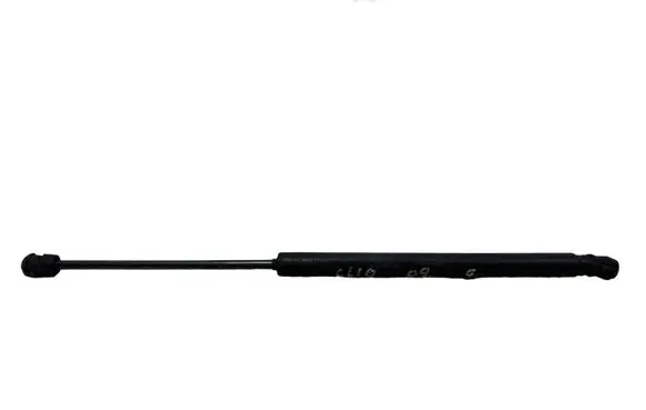 Tailgate strut