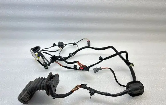 Volkswagen PASSAT B7 Front door wiring loom 3AB971121BF