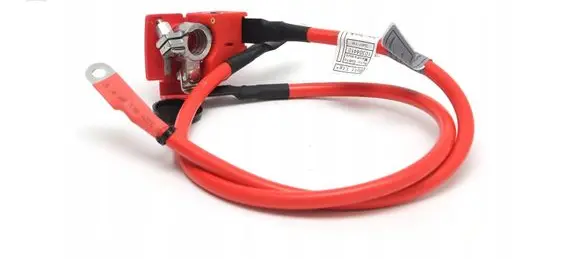 BMW 1 F20 F21 Positive cable (battery) 61129253111