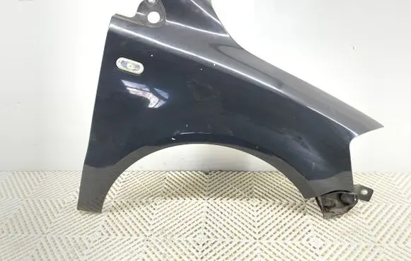 Volkswagen Fox Fender