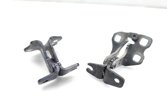 Tesla Model 3 Front door hinge set FLR036F