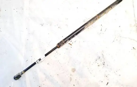Tailgate/trunk strut/damper