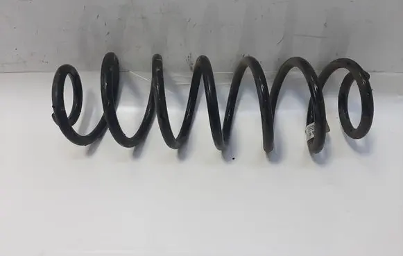 Rear coil spring