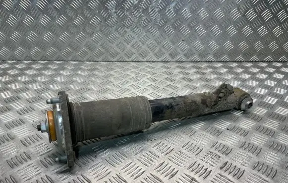 BMW X5 E70 Rear shock absorber/damper 6788779