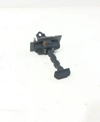 Citroen C4 Grand Picasso Rear door check strap stopper 