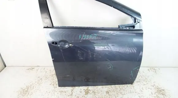 Renault Zoe Front door 801521112R
