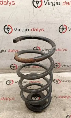 Rear coil spring