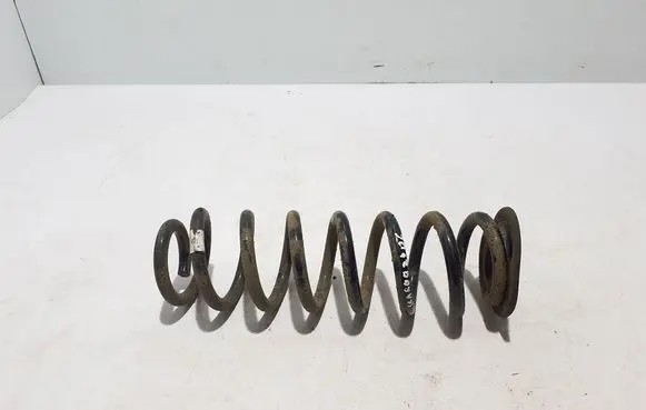 Rear coil spring