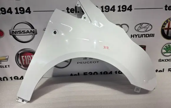 Ford Transit - Tourneo Connect Fender