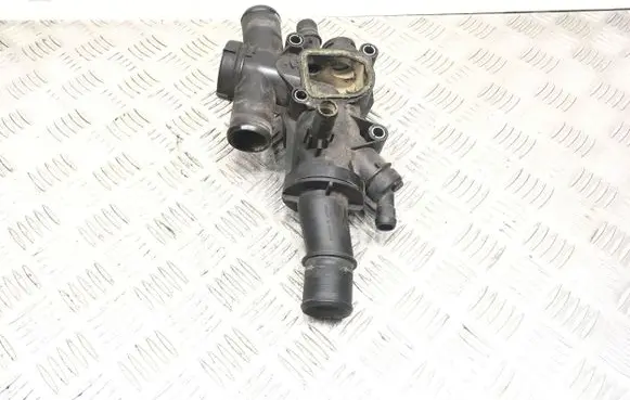 Thermostat/thermostat housing