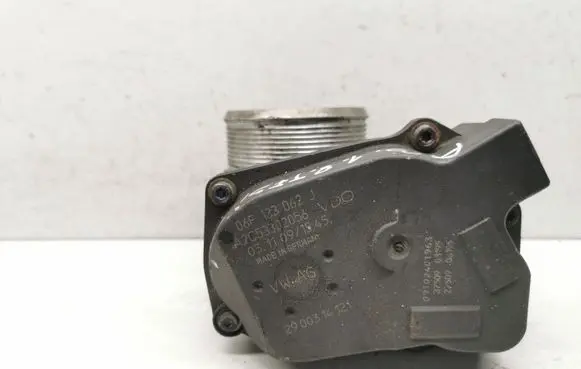 Throttle body valve