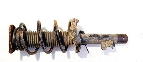 Ford C-MAX I Front shock absorber/damper DSB047G