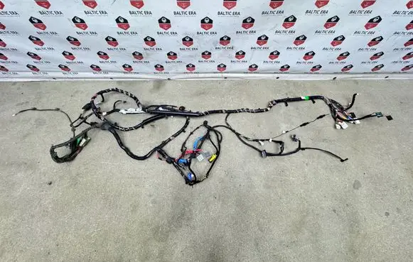 Tesla Model S Wiring harness P300441700A S02480604120