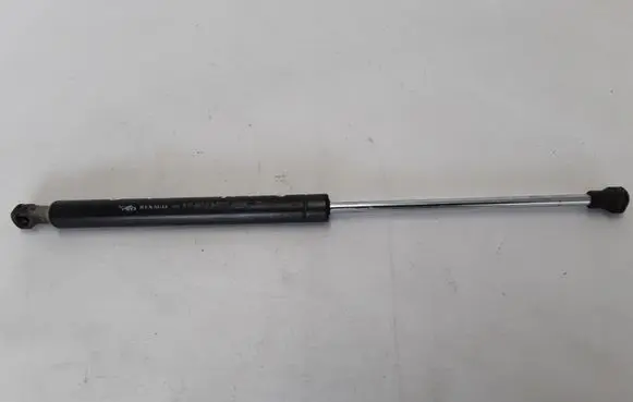 Tailgate strut