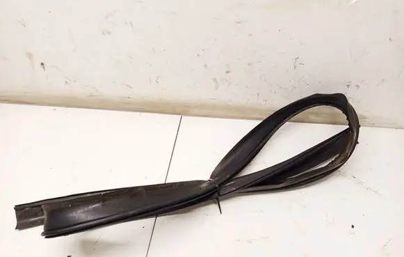 Dacia Sandero Rubber seal rear door PILKOS
