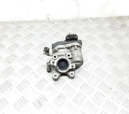 Throttle body valve