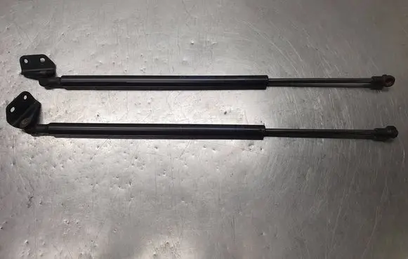 Tailgate/trunk strut/damper