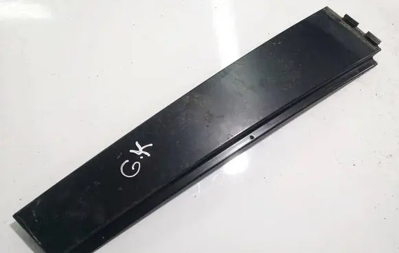 Volkswagen PASSAT B6 Other rear door trim element 