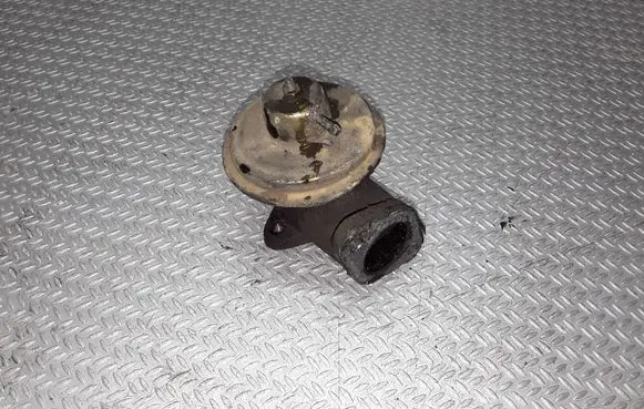 Nissan Terrano EGR valve