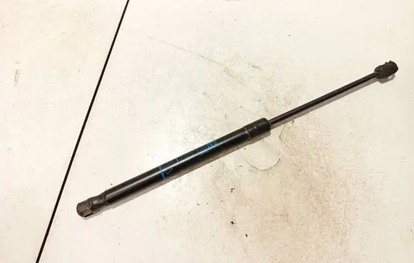 Tailgate/trunk strut/damper