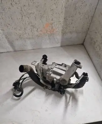 Citroen C4 II EGR valve 5056390300