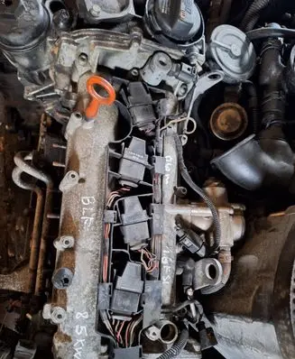 Volkswagen Golf V Engine BLF