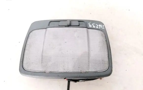 Hyundai Sonata Front seat light